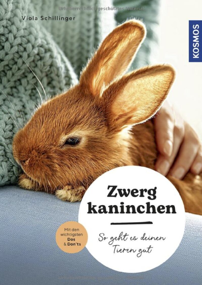 Bildschirmfoto 2023 04 17 um 06 25 50