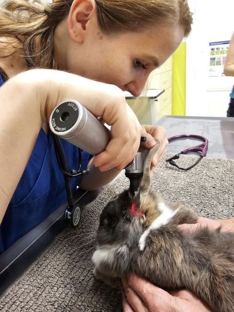 378140055 847875900396694 2223147895342162631 n