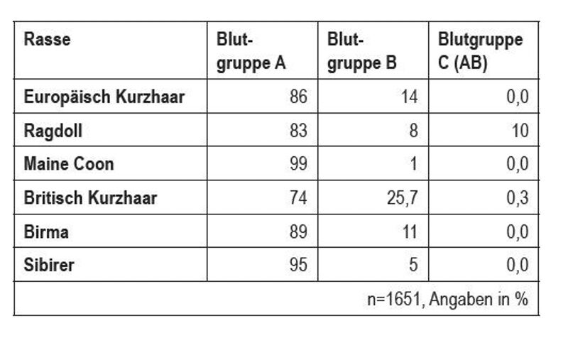 Bildschirmfoto 2023 05 17 um 16 58 41
