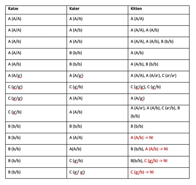 Bildschirmfoto 2023 05 17 um 17 05 10