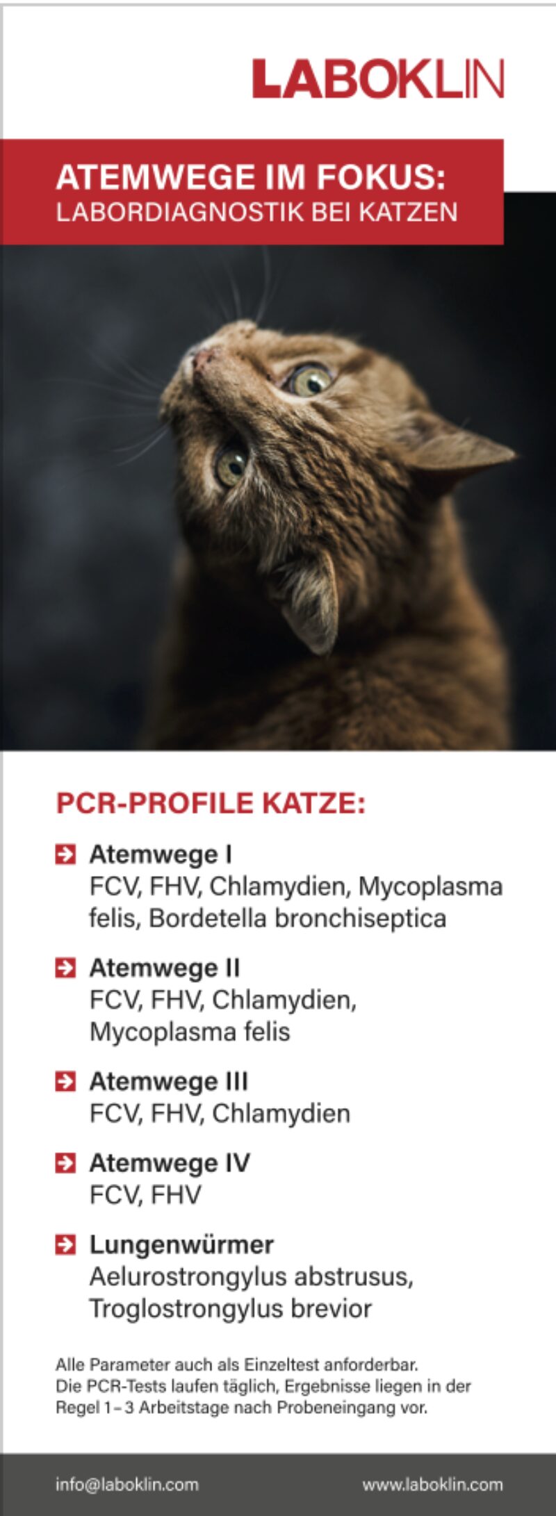 Bildschirmfoto 2023 05 17 um 17 19 55