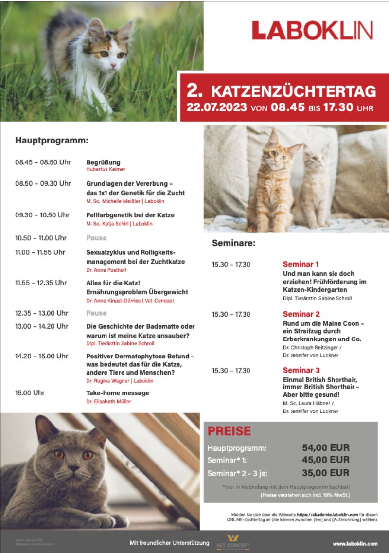 Bildschirmfoto 2023 05 17 um 17 23 22