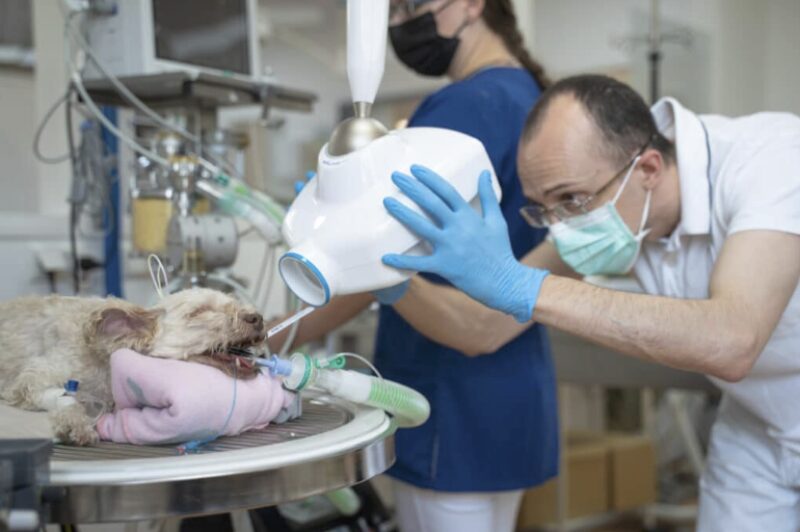 Bildschirmfoto 2023 05 24 um 14 08 05