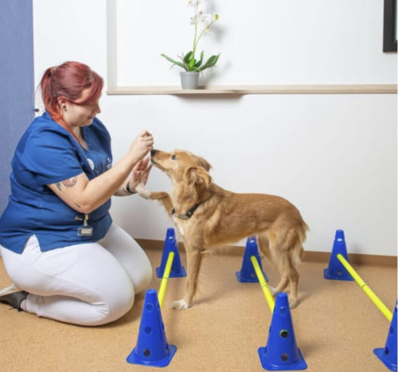 Bildschirmfoto 2023 05 24 um 14 08 23