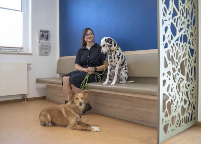 Bildschirmfoto 2023 05 24 um 14 14 30