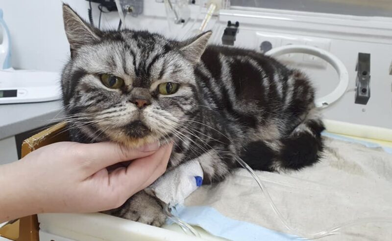 Bildschirmfoto 2023 05 24 um 14 22 29