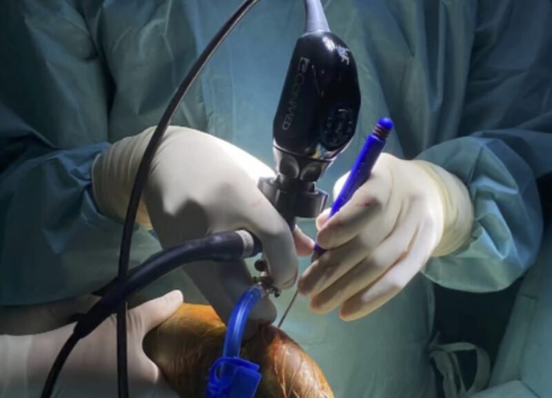 Bildschirmfoto 2023 05 24 um 14 57 01