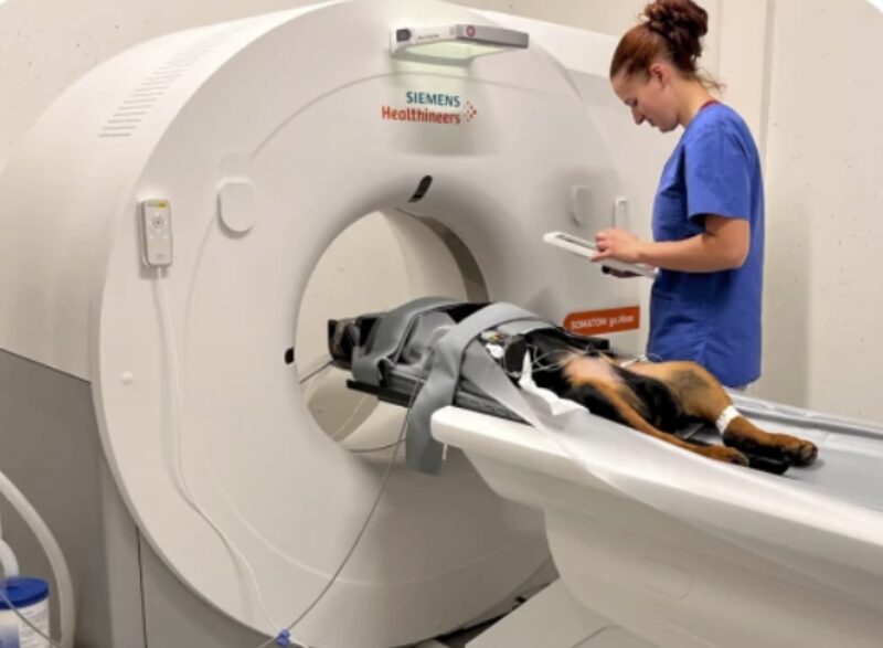 Bildschirmfoto 2023 05 24 um 14 57 12