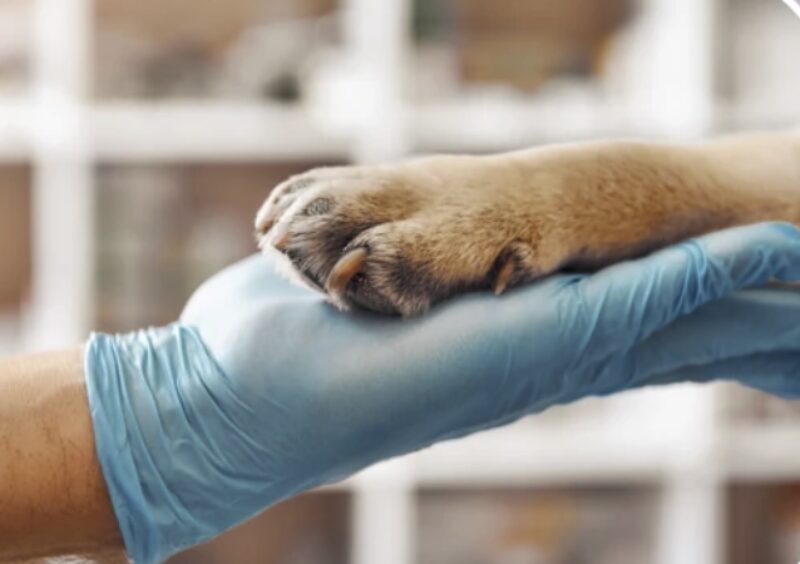 Bildschirmfoto 2023 05 24 um 14 57 42