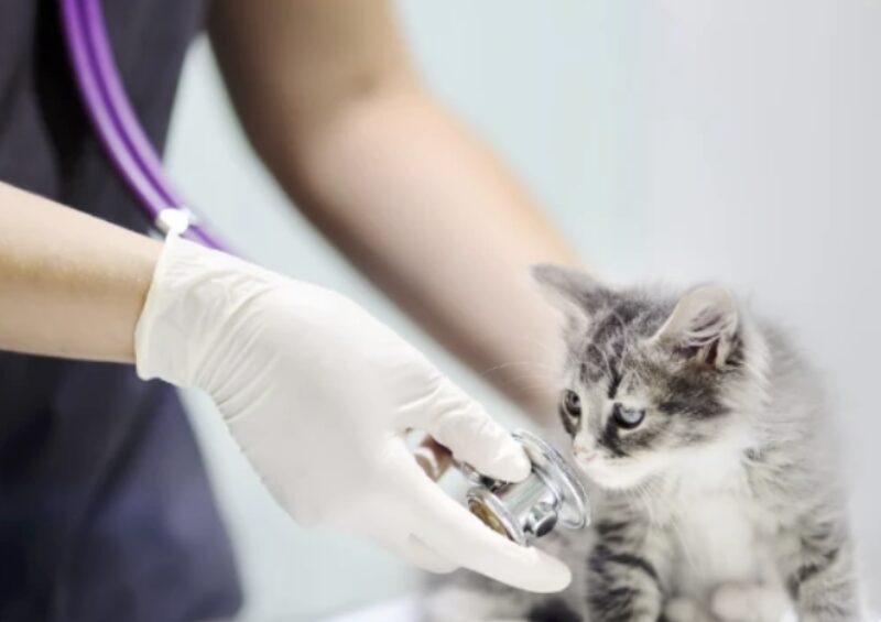 Bildschirmfoto 2023 05 24 um 14 57 52