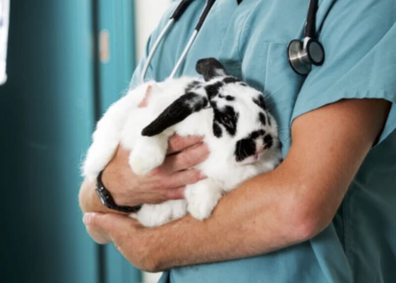 Bildschirmfoto 2023 05 24 um 14 58 13