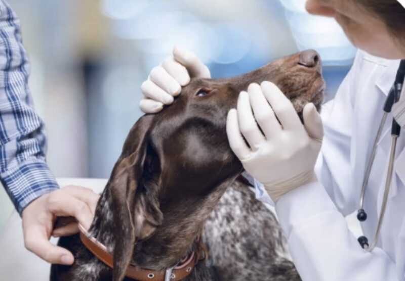 Bildschirmfoto 2023 05 24 um 14 58 20