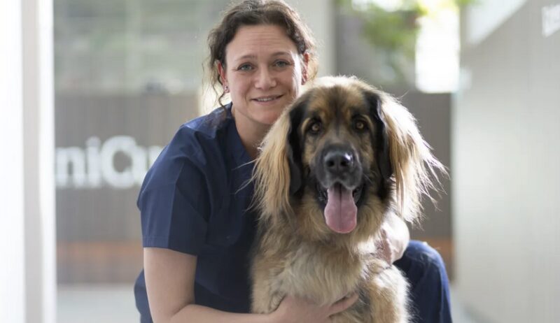 Bildschirmfoto 2023 06 07 um 18 54 55