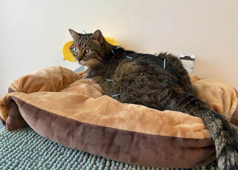 Bildschirmfoto 2023 06 15 um 21 06 15