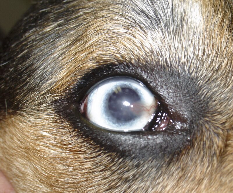 Bildschirmfoto 2023 06 16 um 18 24 57