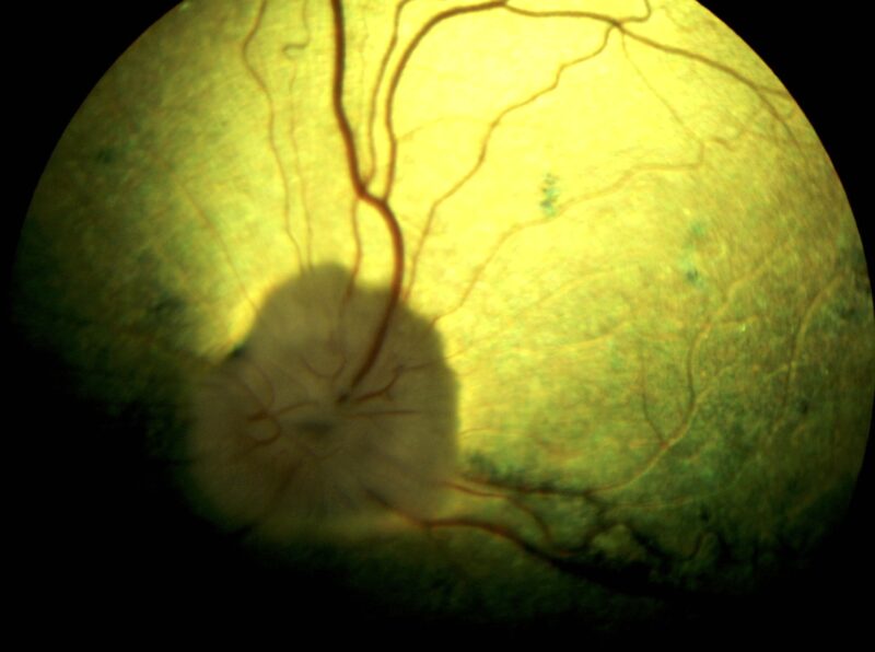 Bildschirmfoto 2023 06 16 um 18 47 48