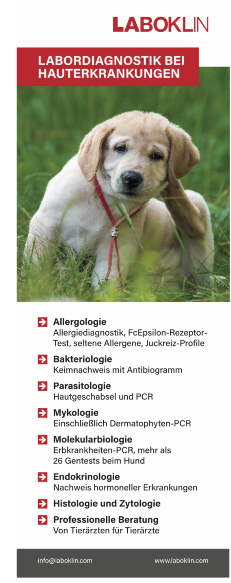 Bildschirmfoto 2023 06 16 um 18 50 40