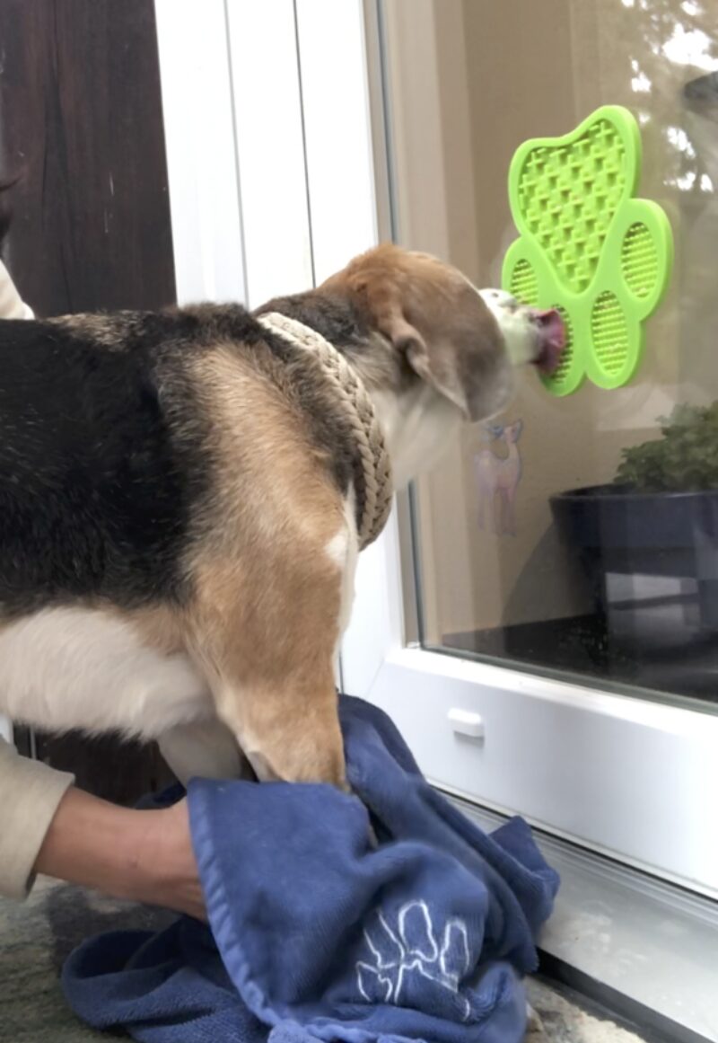 Bildschirmfoto 2023 06 17 um 15 01 05