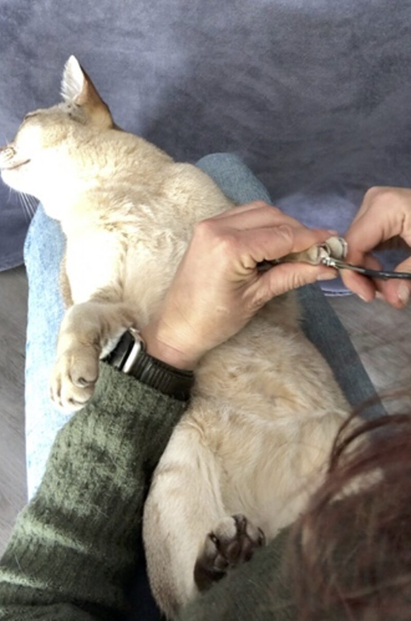 Bildschirmfoto 2023 06 17 um 15 01 11