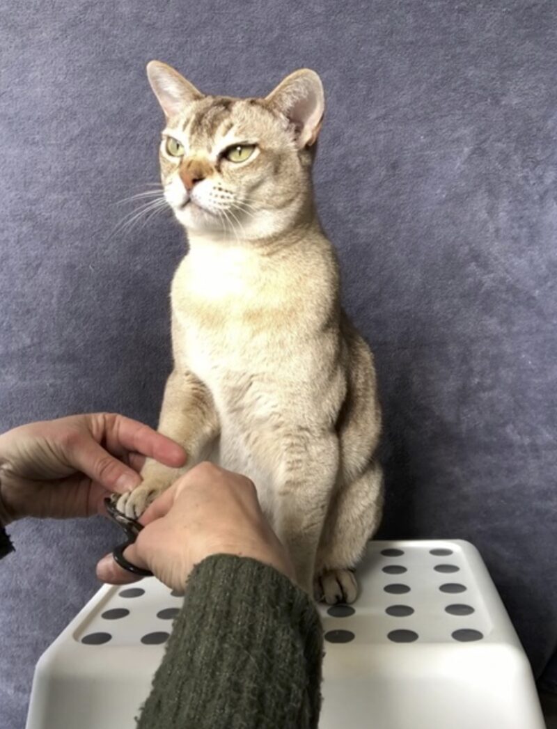 Bildschirmfoto 2023 06 17 um 15 01 28