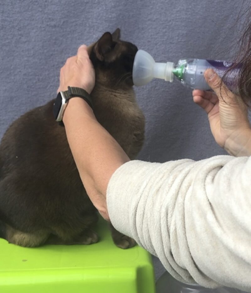 Bildschirmfoto 2023 06 17 um 15 01 36