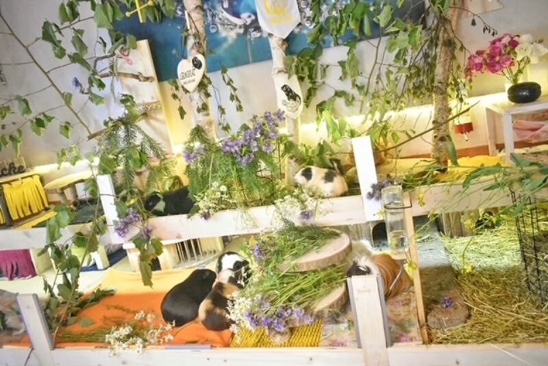 IMG 20220606 131254 922 01