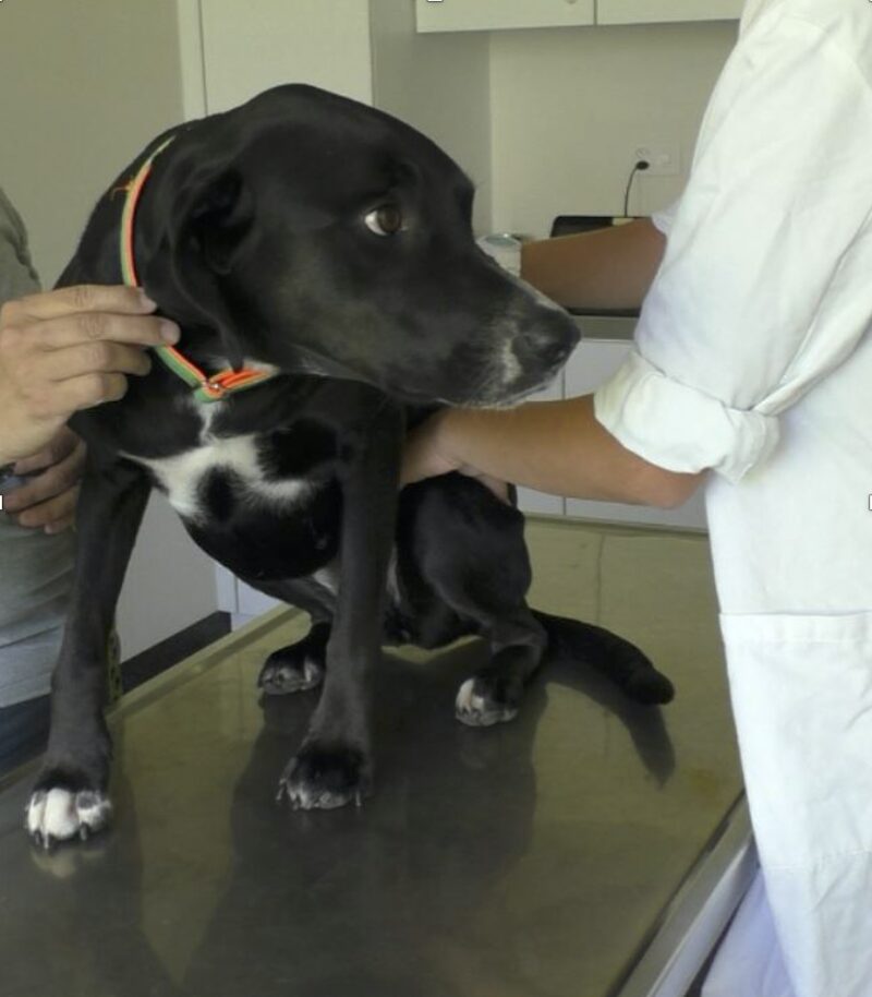 Bildschirmfoto 2023 06 19 um 10 45 06