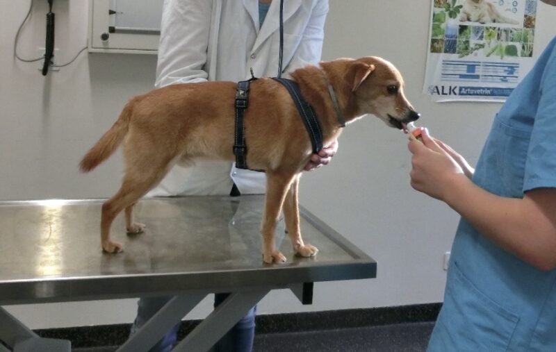 Bildschirmfoto 2023 06 19 um 10 46 39