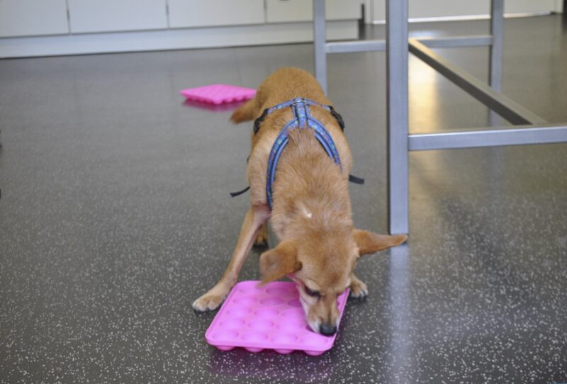 Bildschirmfoto 2023 06 19 um 10 47 19