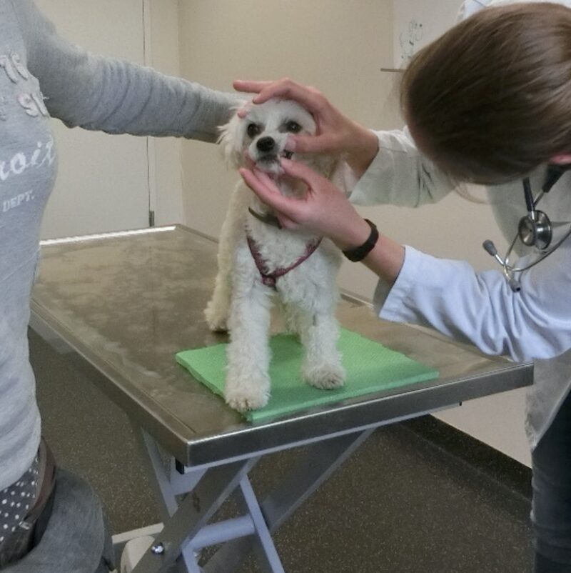 Bildschirmfoto 2023 06 19 um 10 47 59