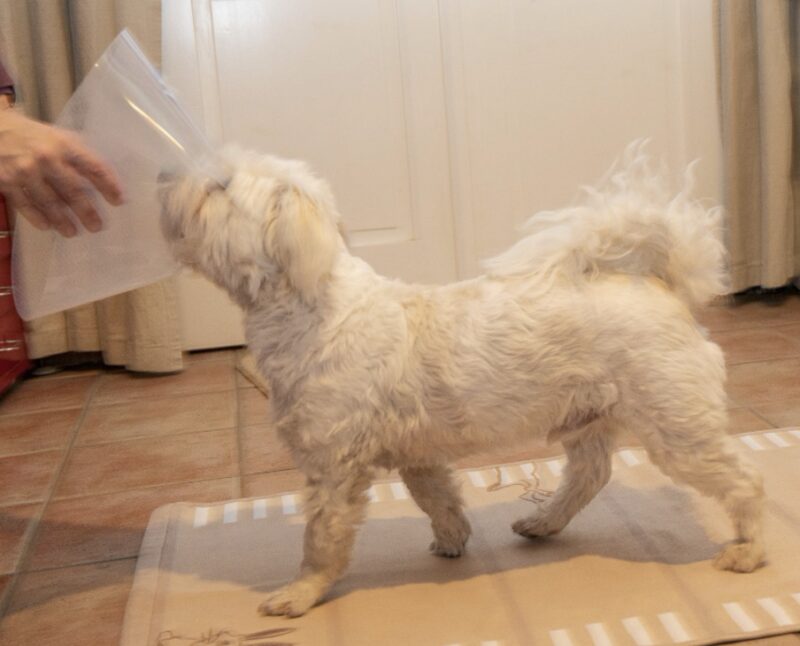 Bildschirmfoto 2023 06 19 um 10 48 47