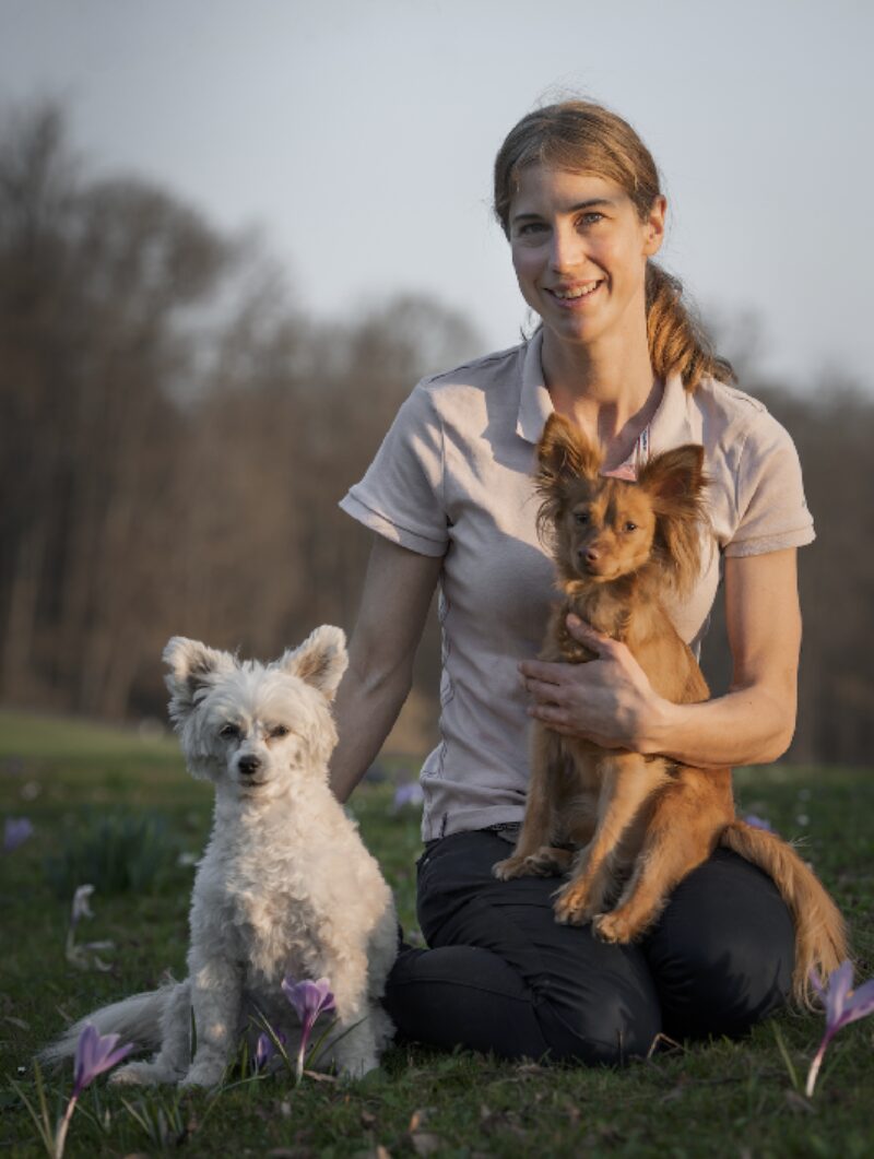 Bildschirmfoto 2023 06 19 um 10 57 58