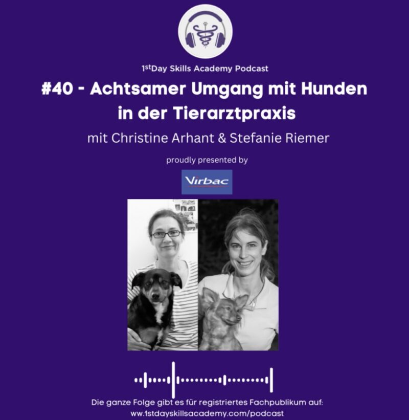 Bildschirmfoto 2023 06 19 um 13 41 02