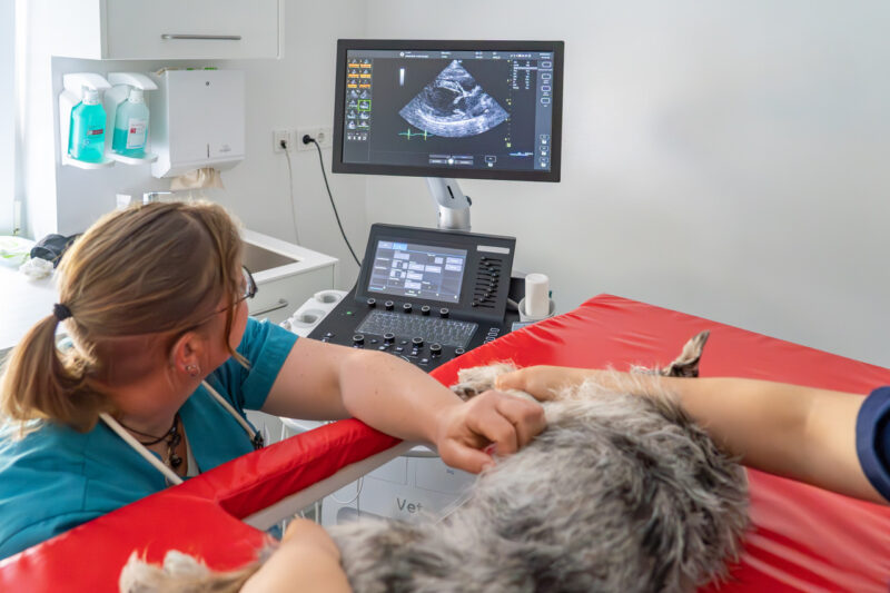 DSC05548 Verbessert NR1