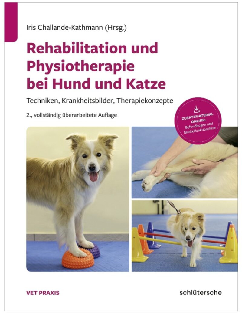 Bildschirmfoto 2023 08 15 um 18 13 03