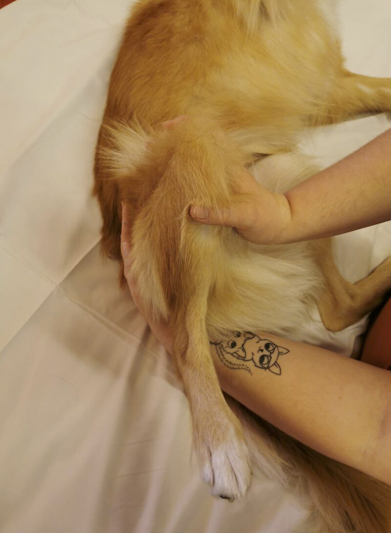 Bildschirmfoto 2023 08 15 um 18 19 11