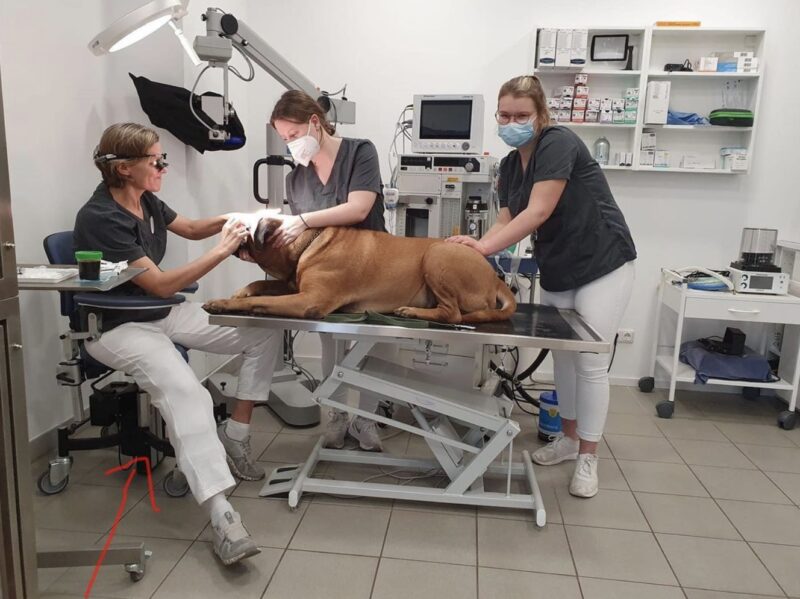 Bildschirmfoto 2023 10 13 um 13 54 26