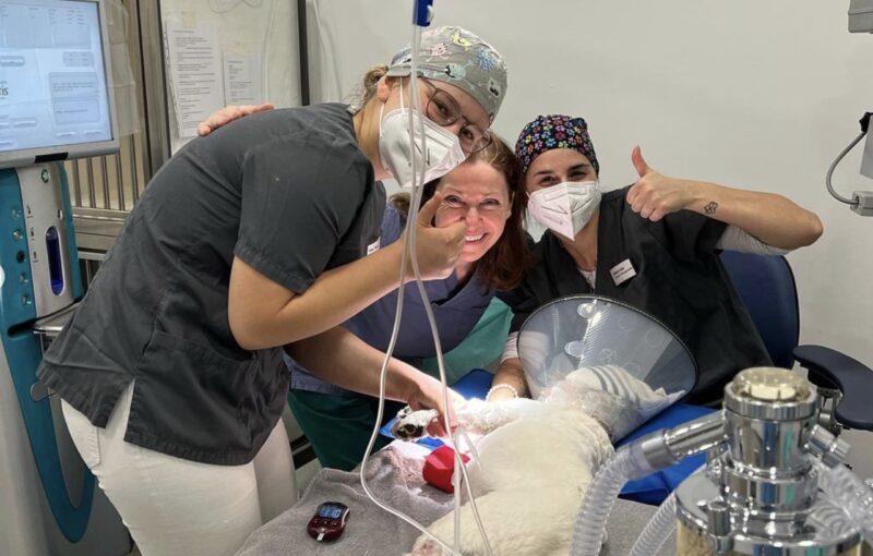 Bildschirmfoto 2023 10 13 um 13 55 15