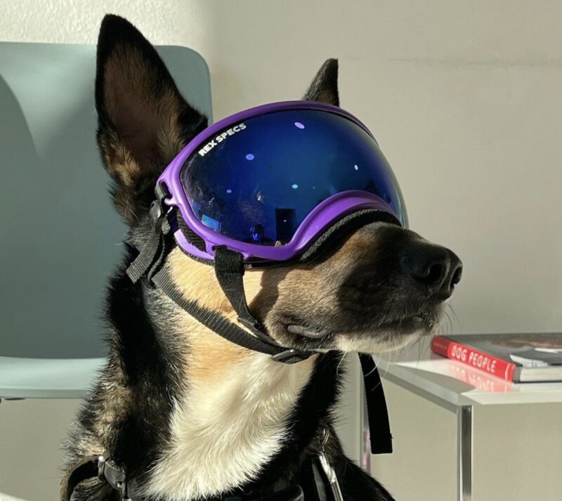 Bildschirmfoto 2023 10 13 um 13 56 16