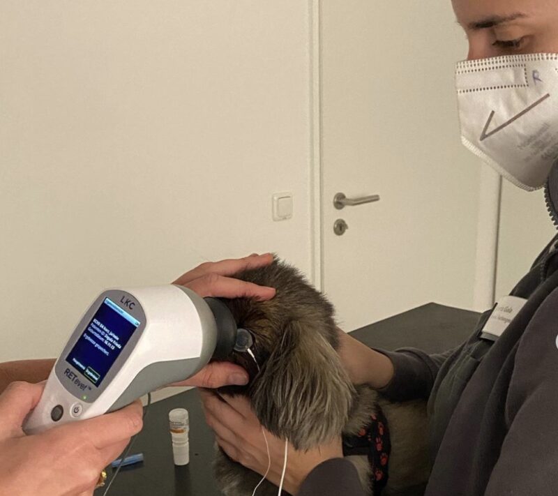 Bildschirmfoto 2023 10 13 um 13 56 34