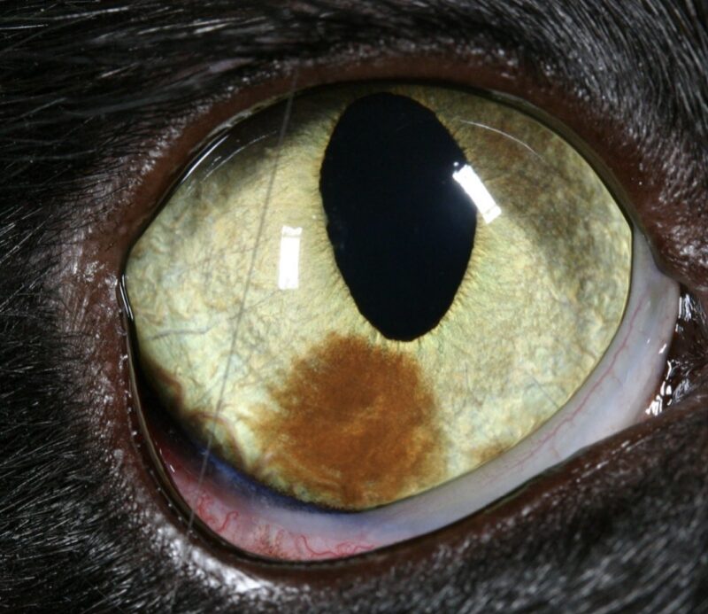 Bildschirmfoto 2023 10 13 um 13 56 59