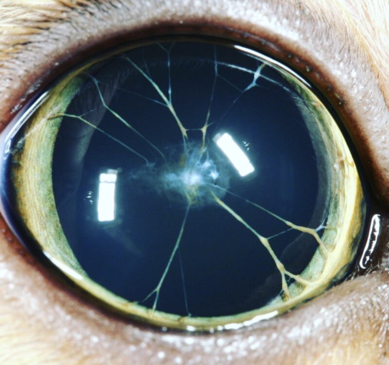 Bildschirmfoto 2023 10 13 um 13 57 08