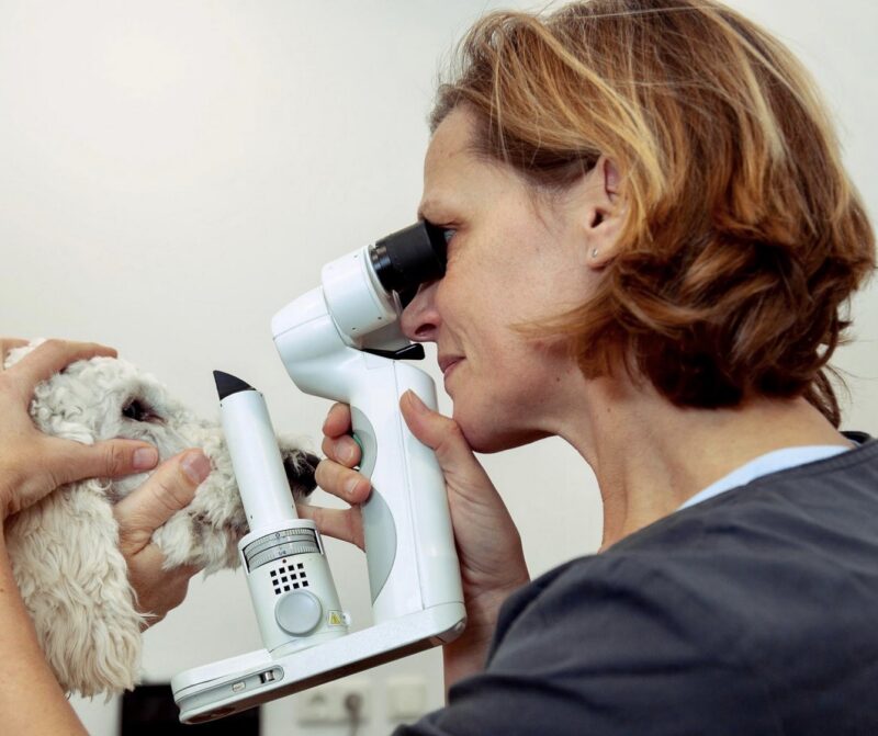 Bildschirmfoto 2023 10 13 um 13 57 24