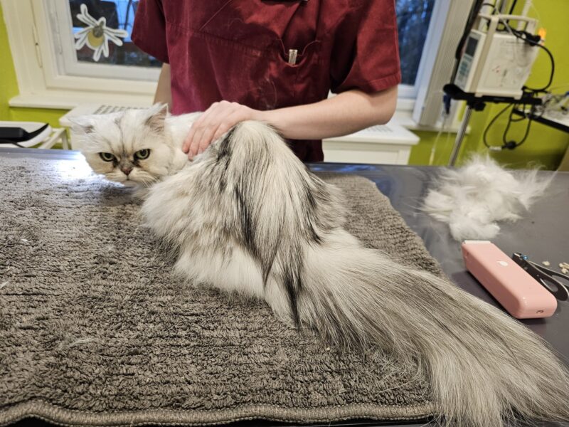 410996841 908091387708478 407480905950562434 n