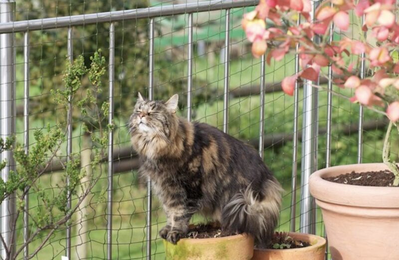 Bildschirmfoto 2023 10 18 um 12 05 19