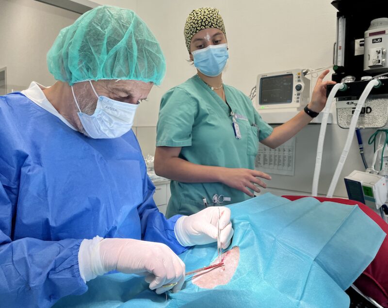 Bildschirmfoto 2023 10 27 um 10 16 03