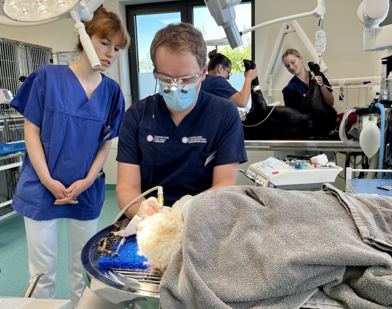 Bildschirmfoto 2023 10 27 um 10 16 32