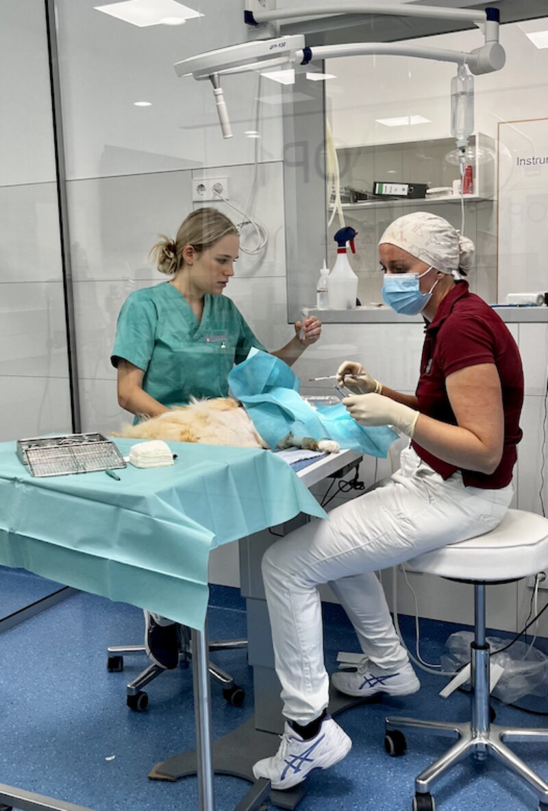 Bildschirmfoto 2023 10 27 um 10 18 05