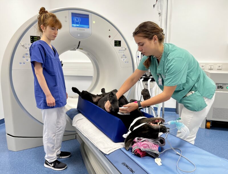 Bildschirmfoto 2023 10 27 um 10 18 41