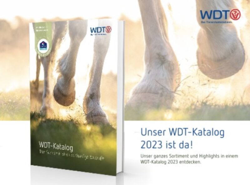 Bildschirmfoto 2023 11 09 um 18 44 37